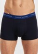 Boxer-13
