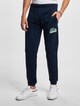 Lacoste Sweat Pant-0
