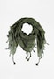 olive_99158