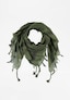 olive_99158