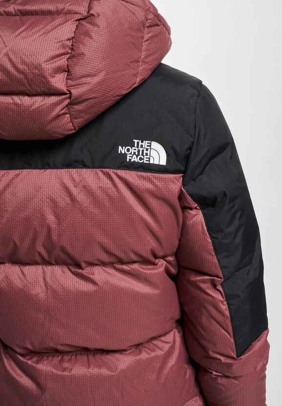 The North Face Diablo Puffer Jacket Wild-5