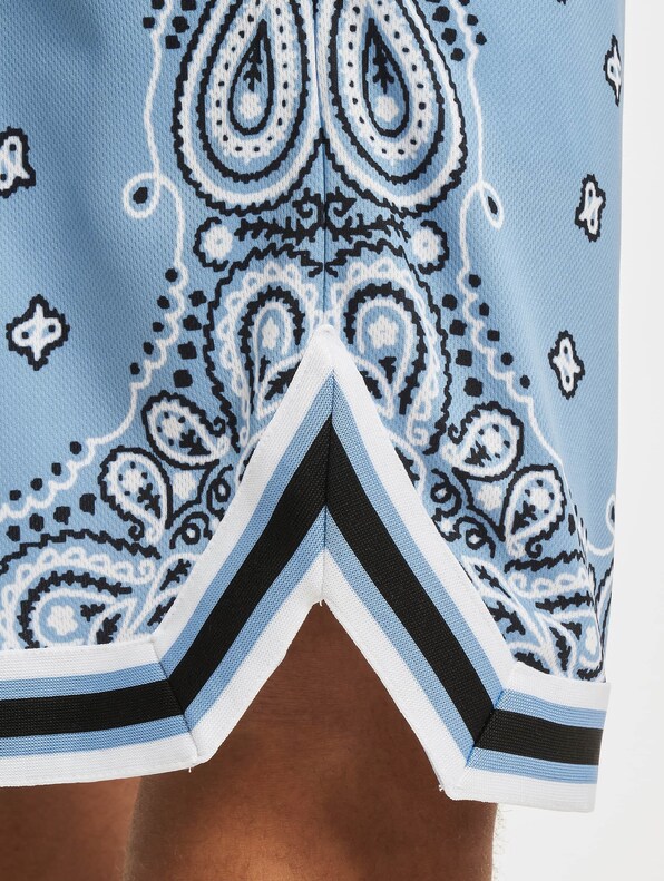 Serif Paisley Mesh-5