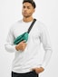 white_60389