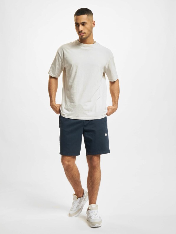 Southpole Twill Shorts-6