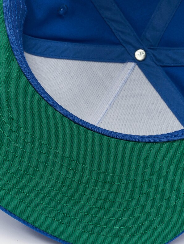 Classic 5 Panel -2