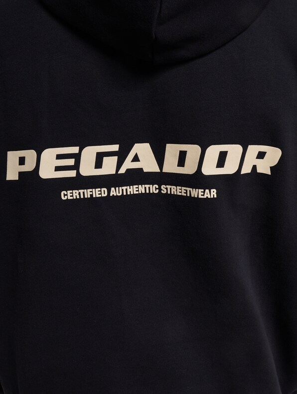 PEGADOR Colne Logo Oversized Hoodies-3