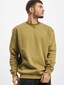 olive_10848