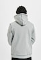 grey_6228