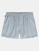 Ice Blue Striped -0