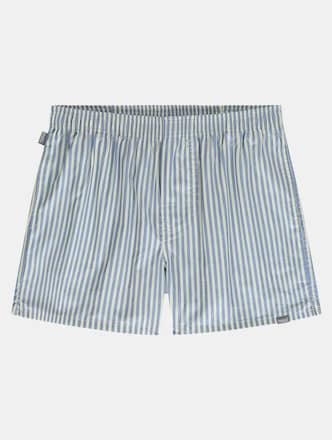Ice Blue Striped 