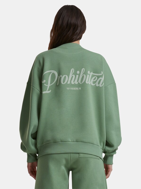 Prohibited 10119 V2 Crew Neck Pullover-4