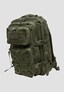 olive_143715