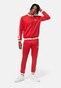 red_95137