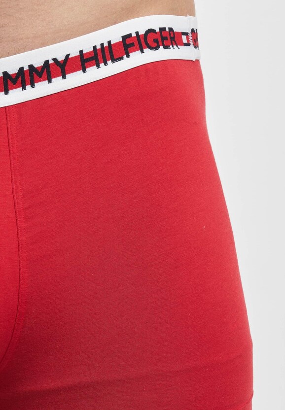 Underwear Trunk-1