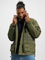 olive_38266