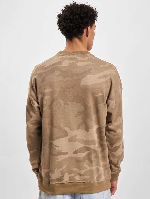 Camo-1