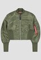 olive_139884