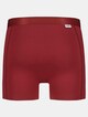 Burgundy -1