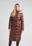 brown_157037