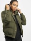 olive_9291