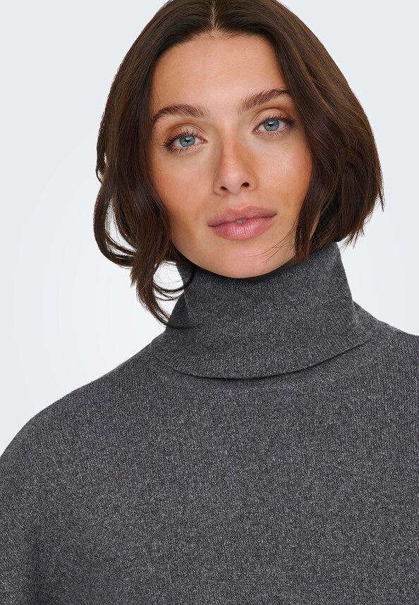 ONLAMA LIFE LS RIB ROLLNECK CC KNT-4