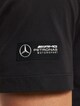 Mercedes AMG Petronas -7