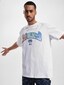 white_27575