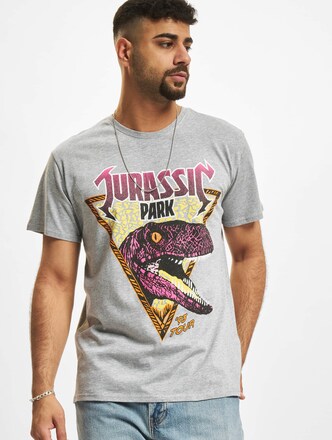 Jurassic Park Pink Rock