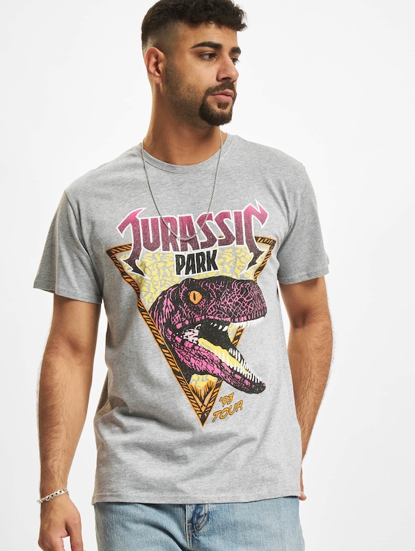 Jurassic Park Pink Rock-0