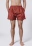 red_213005