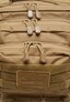 brown_139774