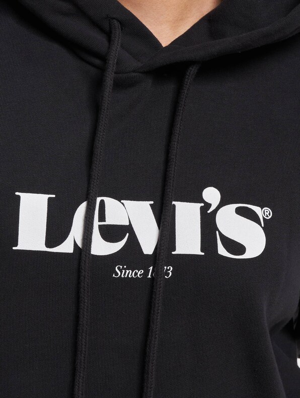 Levis Graphic Standard Hoodie-3