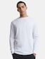 white_137494