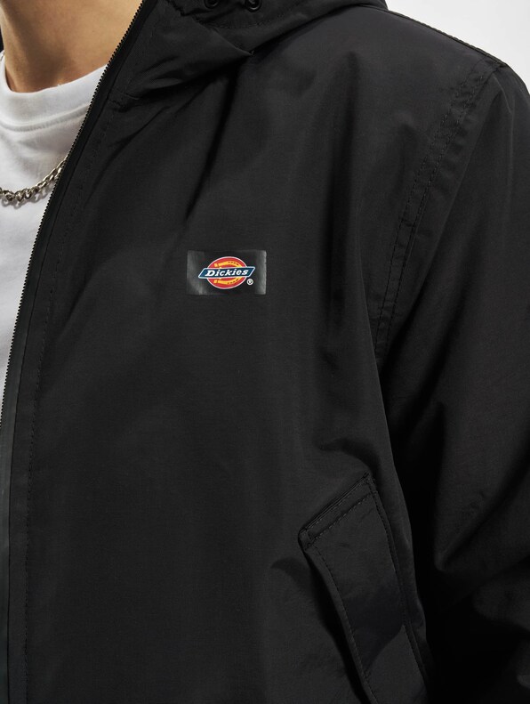 Dickies New Sarpy Jacket-4