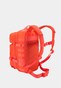 orange_37646