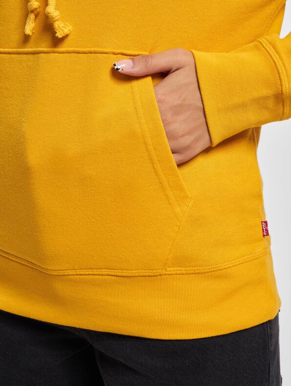 Levis Graphic Standard Hoodie-4