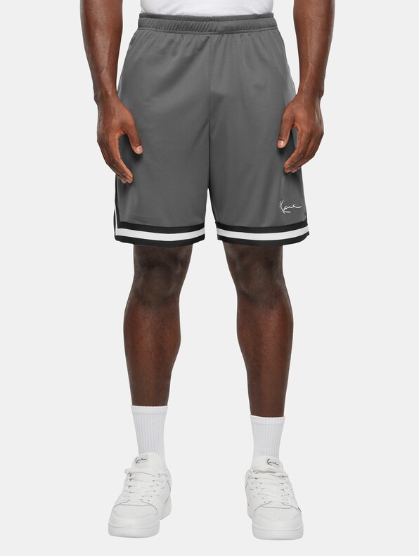 Small Signature Essential Mesh -2