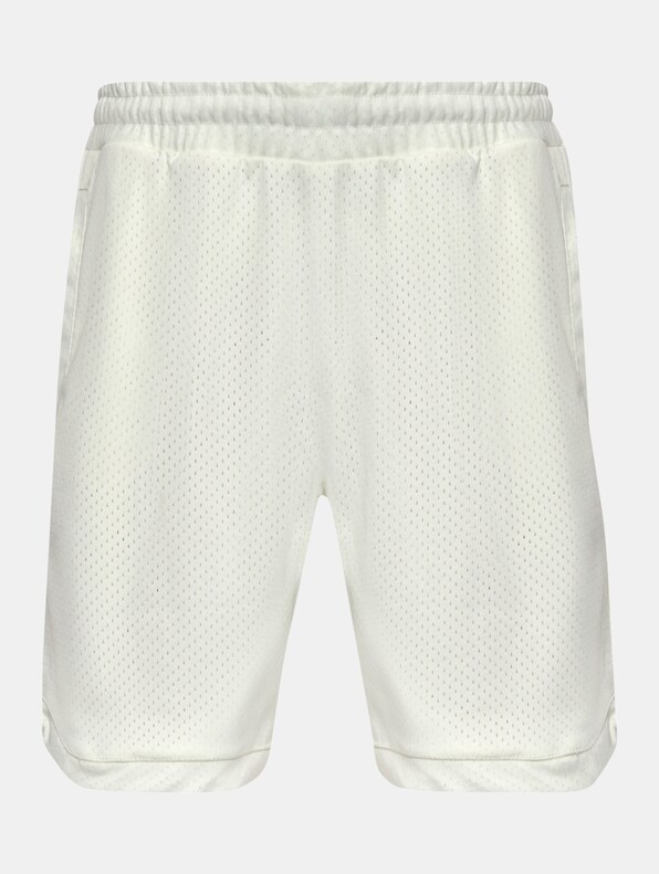 Dropsize V2 Mesh Shorts-4