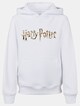 Kids Harry Potter - Colour Logo Basic -0