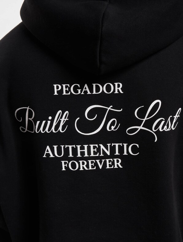 PEGADOR Tavery Oversized Hoody-3