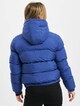 Ladies Hooded -1