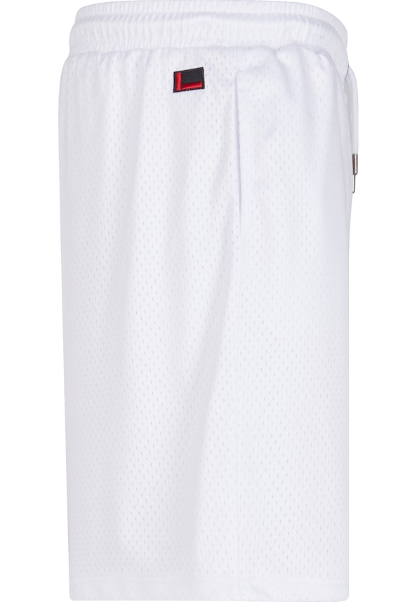 FM242-005-2 Fubu Varsity Mesh Shorts-6