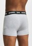 grey_80454