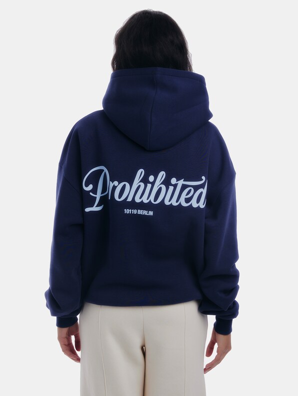 Prohibited V2 Hoodies-4