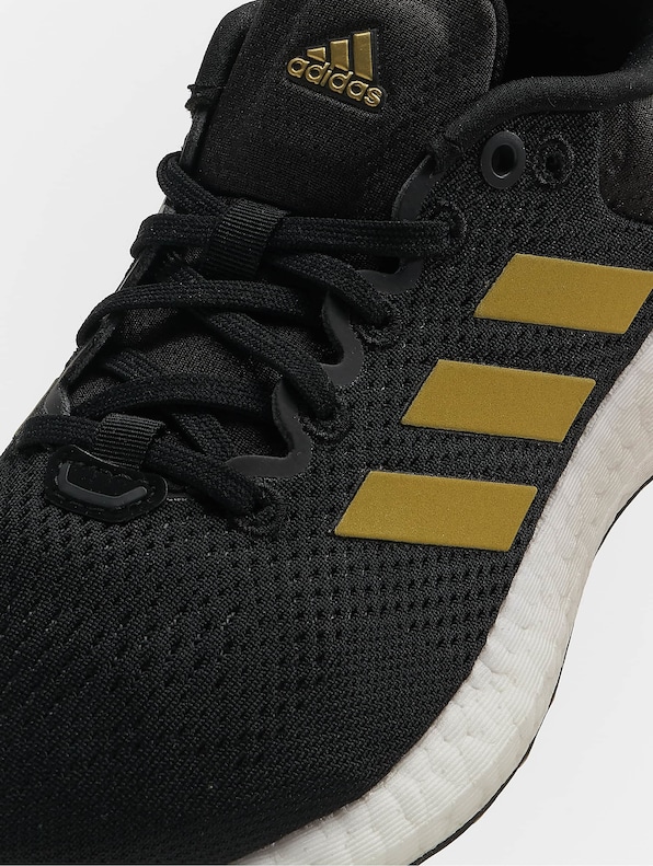 Pureboost 21-7