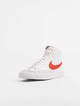 Blazer Mid '77 Vintage -2