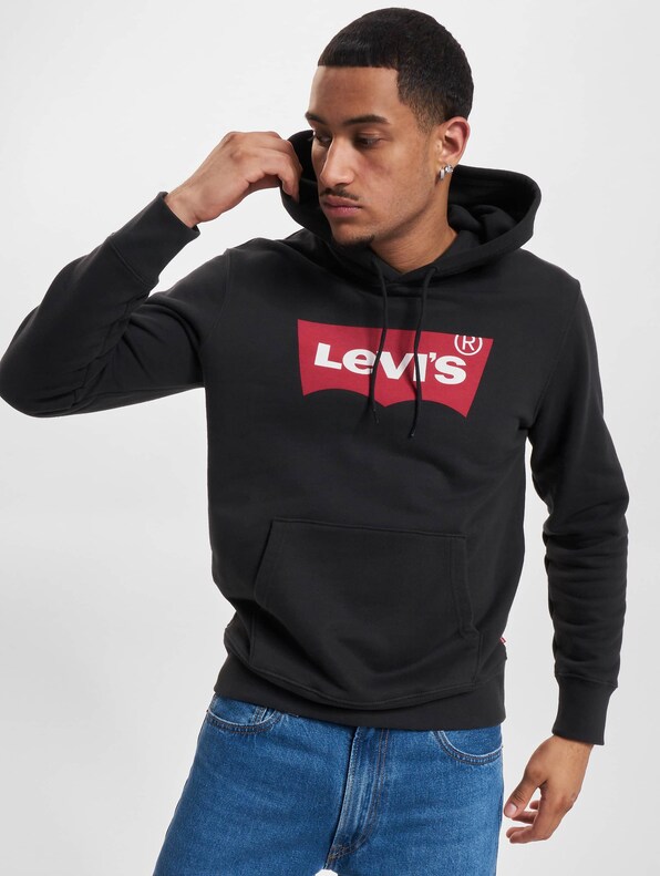 Levi's Standard Graphic Hoodies-0
