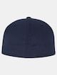 5 Panel -2