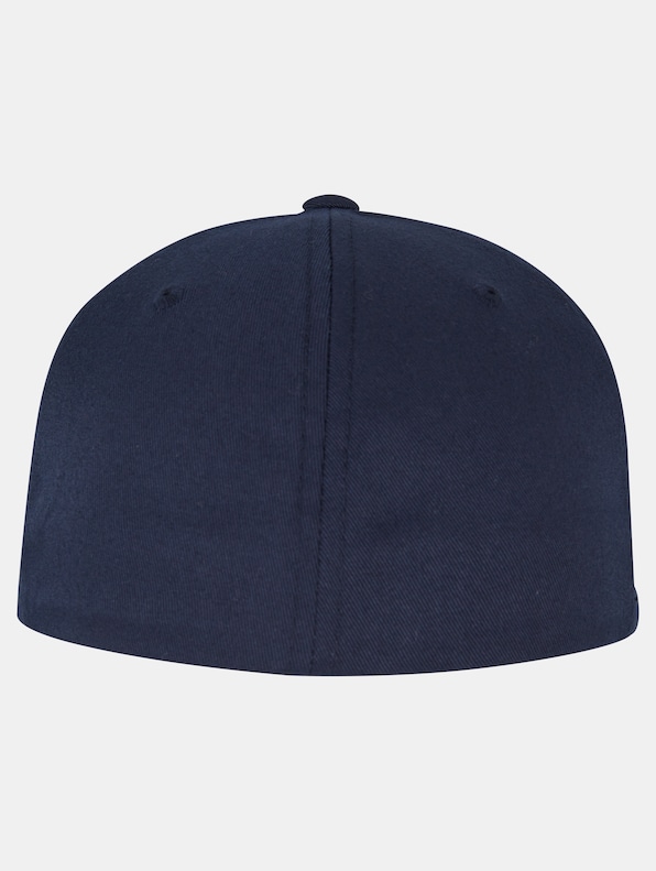 5 Panel -2