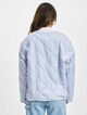 Reversible -5